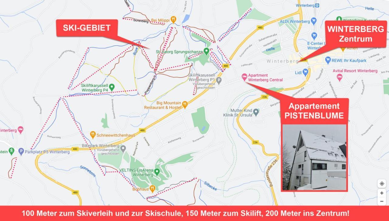 Pistenblume Apartment - Skipiste, Stadtzentrum ヴィンターベルク エクステリア 写真