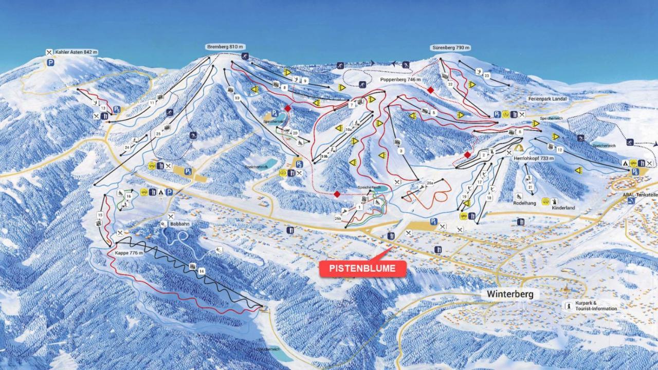Pistenblume Apartment - Skipiste, Stadtzentrum ヴィンターベルク エクステリア 写真